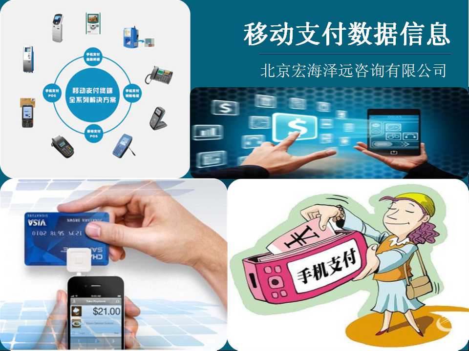 移动支付数据信息