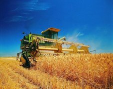 2014年上半年中国粮食进出口数据信息