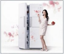 2015年1—8月我国电冰箱销售数据信息