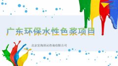 广东环保水性色浆项目融资计划书